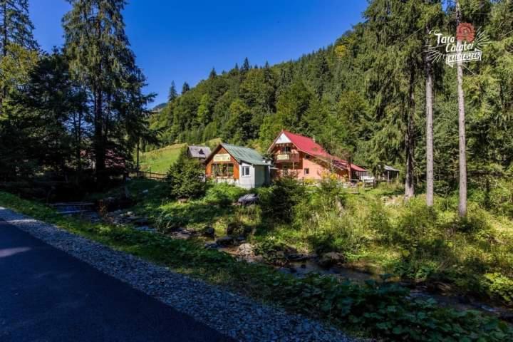 Cabana Valea Stanciului Рэкицеле Экстерьер фото