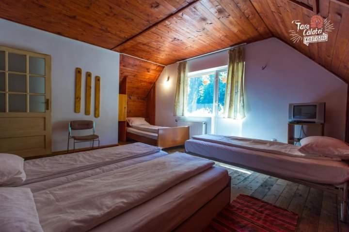 Cabana Valea Stanciului Рэкицеле Экстерьер фото