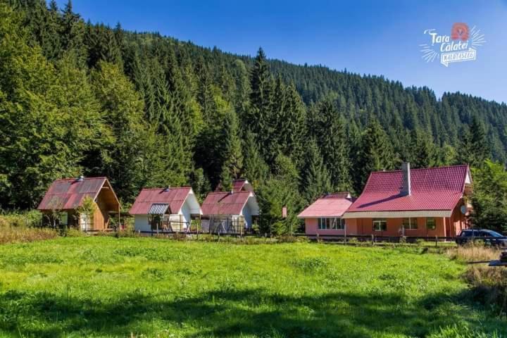 Cabana Valea Stanciului Рэкицеле Экстерьер фото