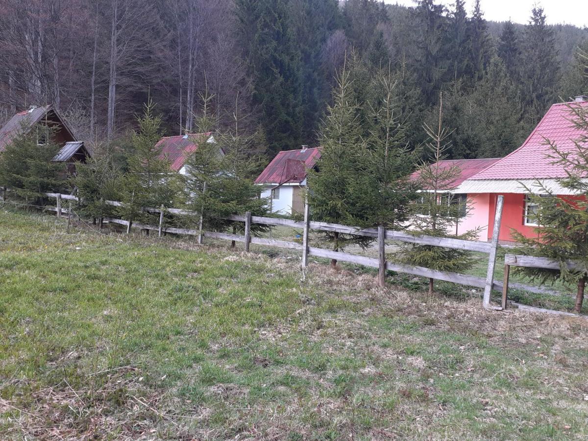 Cabana Valea Stanciului Рэкицеле Экстерьер фото