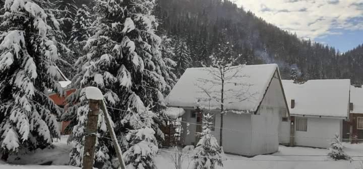Cabana Valea Stanciului Рэкицеле Экстерьер фото