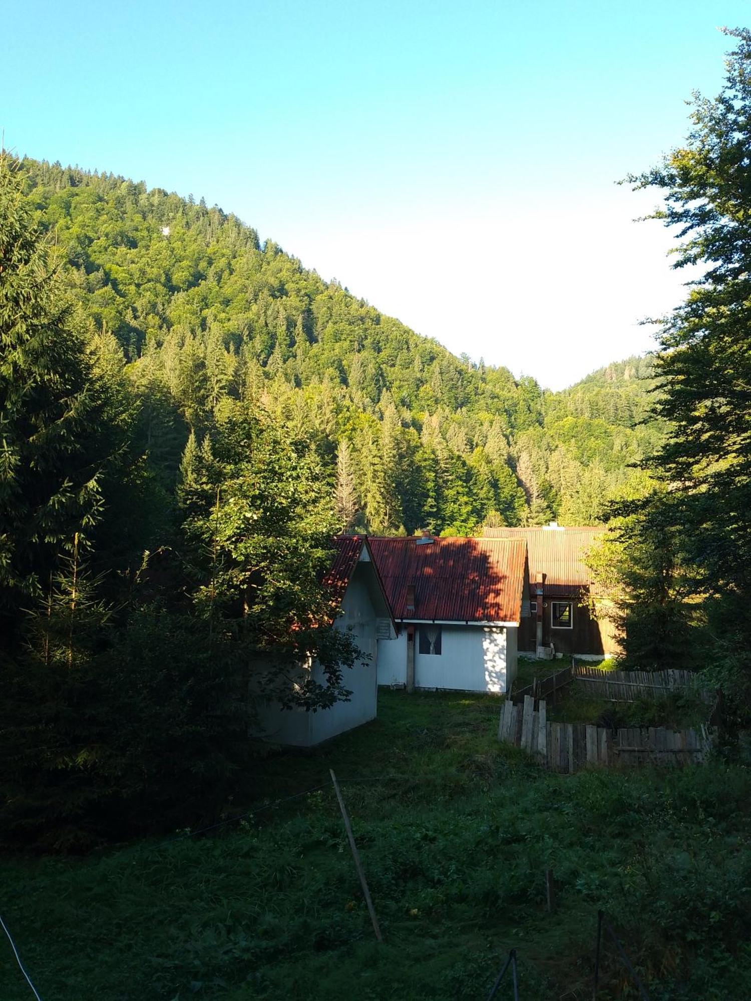 Cabana Valea Stanciului Рэкицеле Экстерьер фото