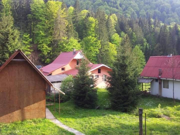 Cabana Valea Stanciului Рэкицеле Экстерьер фото
